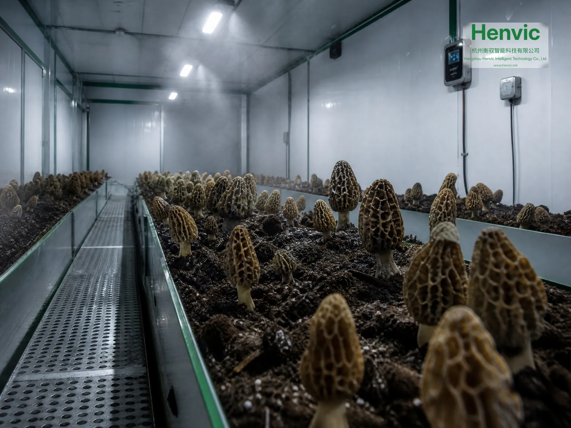 Henvic smart morel cultivation cabin — view 2